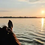Gorgeous In Witnica Chojenska * Witnica (Gryfino)
