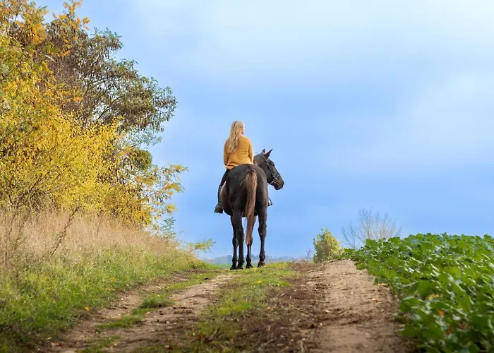 Prázdninový dům Gorgeous In Witnica Chojenska *